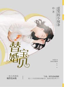 替婚宝贝